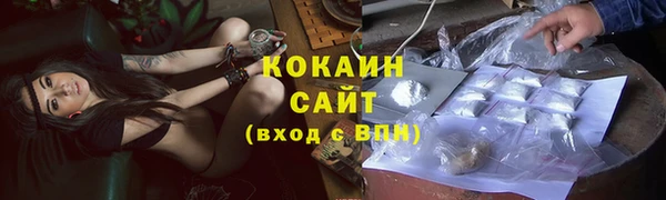 соль ск Алзамай