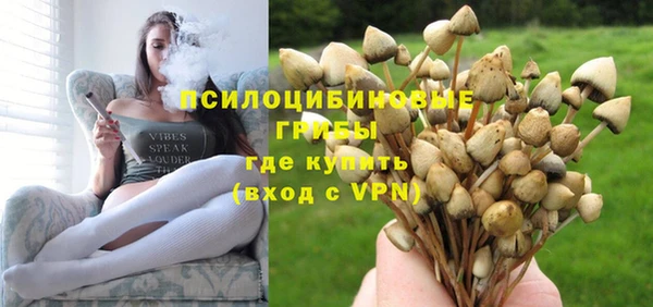 СК Алексеевка