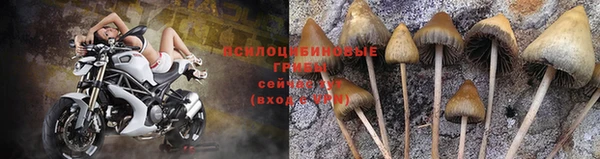 соль ск Алзамай