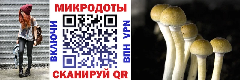 наркотики  darknet наркотические препараты  мега маркетплейс  Галлюциногенные грибы Psilocybe  Нестеров 