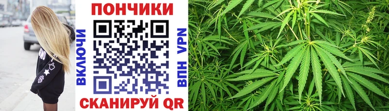 купить закладку  Нестеров  МАРИХУАНА THC 21% 